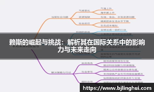 赖斯的崛起与挑战：解析其在国际关系中的影响力与未来走向
